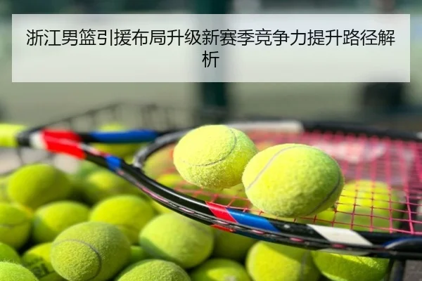 浙江男篮引援布局升级新赛季竞争力提升路径解析