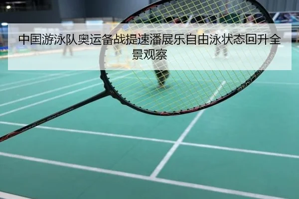 中国游泳队奥运备战提速潘展乐自由泳状态回升全景观察